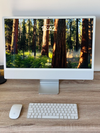 IMac 24 + Logiciels M3 8G 256 2024 gris