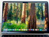 MacBook Pro 14'' M1 PRO 16Go 512Go 2021